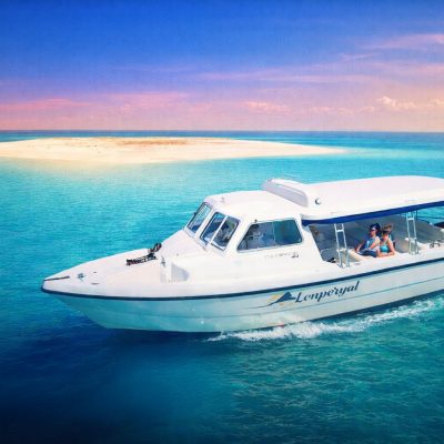 WhatsApp Image 2026-01-22 at 2.29.04 AM